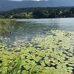 Isabelle Sky דירה פרסגרזי