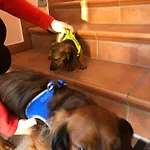 דירה Isabelle Sky *