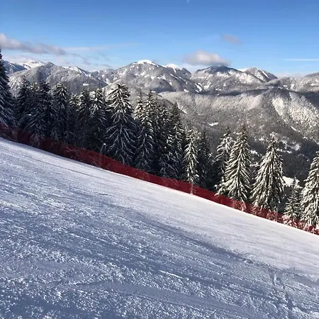 アパート Isabelle Sky プレッセッガー・ゼー