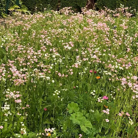 Isabelle Sky * プレッセッガー・ゼー