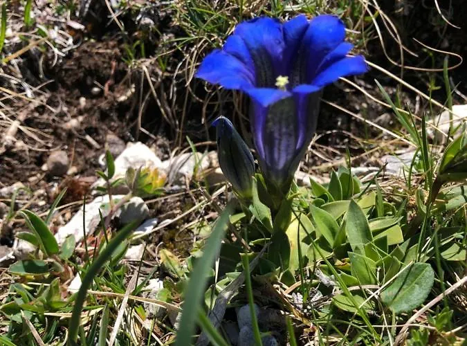 Isabelle Sky Presseggersee