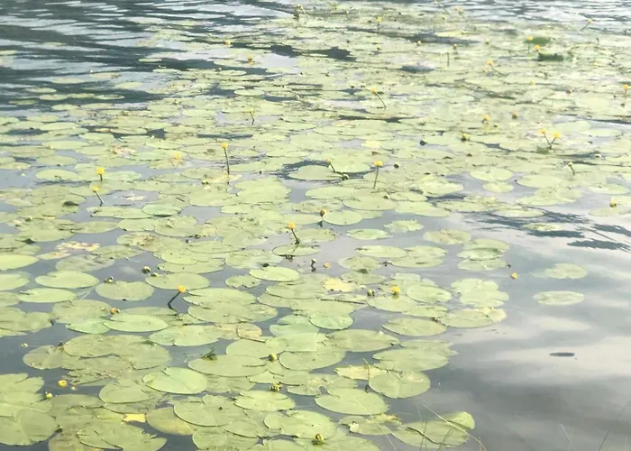 Apartamento Isabelle Sky Presseggersee