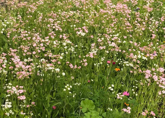 Isabelle Sky Apartamento